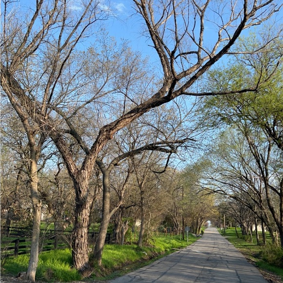 Meet your Posher, L P - Picture 11 of 13